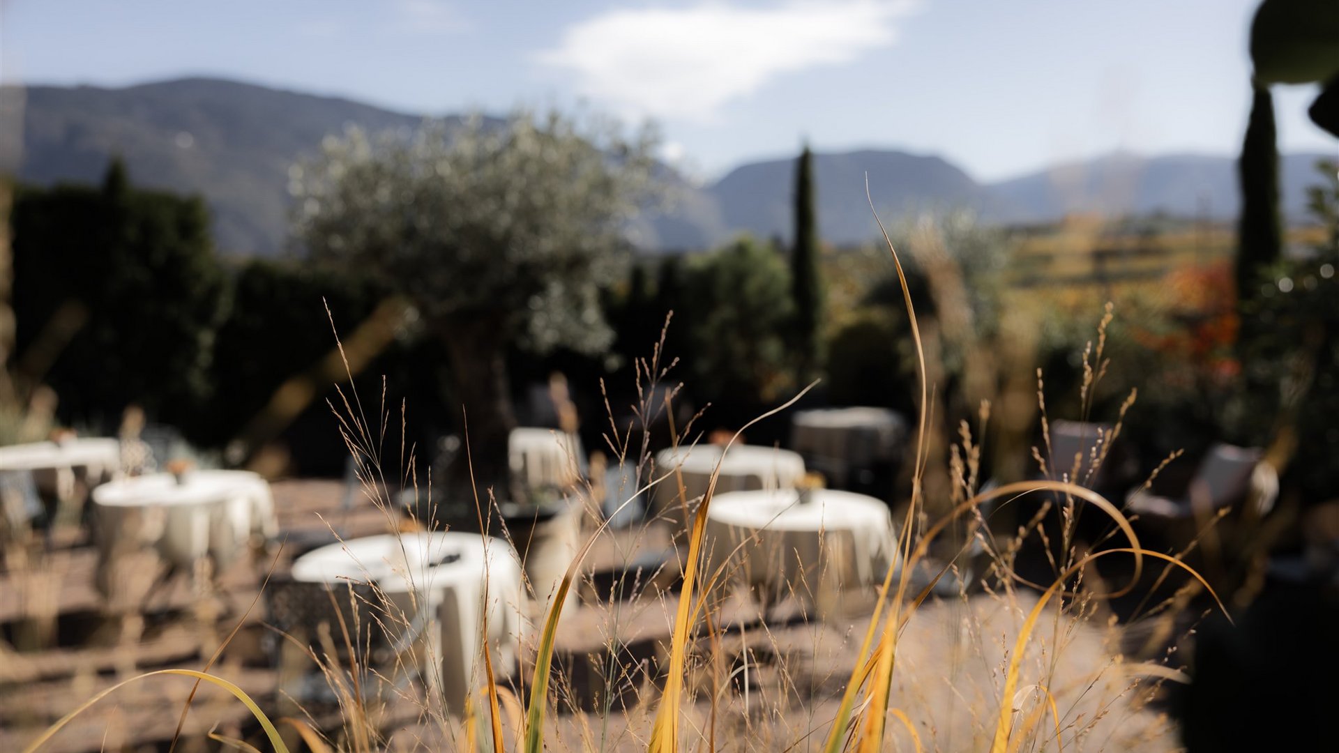 Blick durch hohes Gras auf eine Terrasse mit Tischen und Bergen im Hintergrund