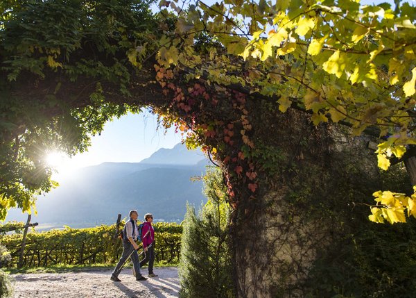 Ihr Hotel in Südtirol an der Weinstraße