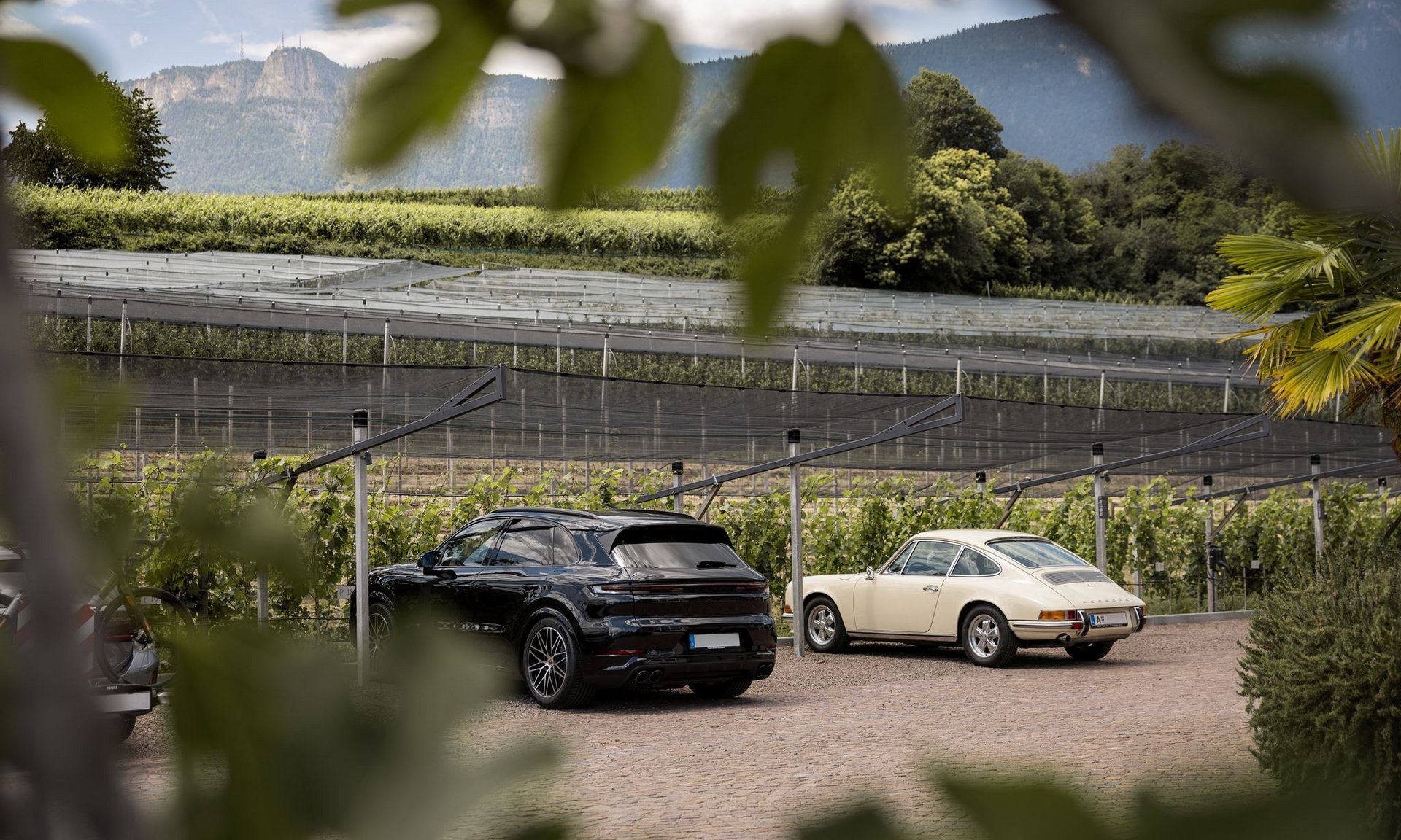 Gli scatti più belli del Lingers Due auto parcheggiate con vigneti e montagne sullo sfondo