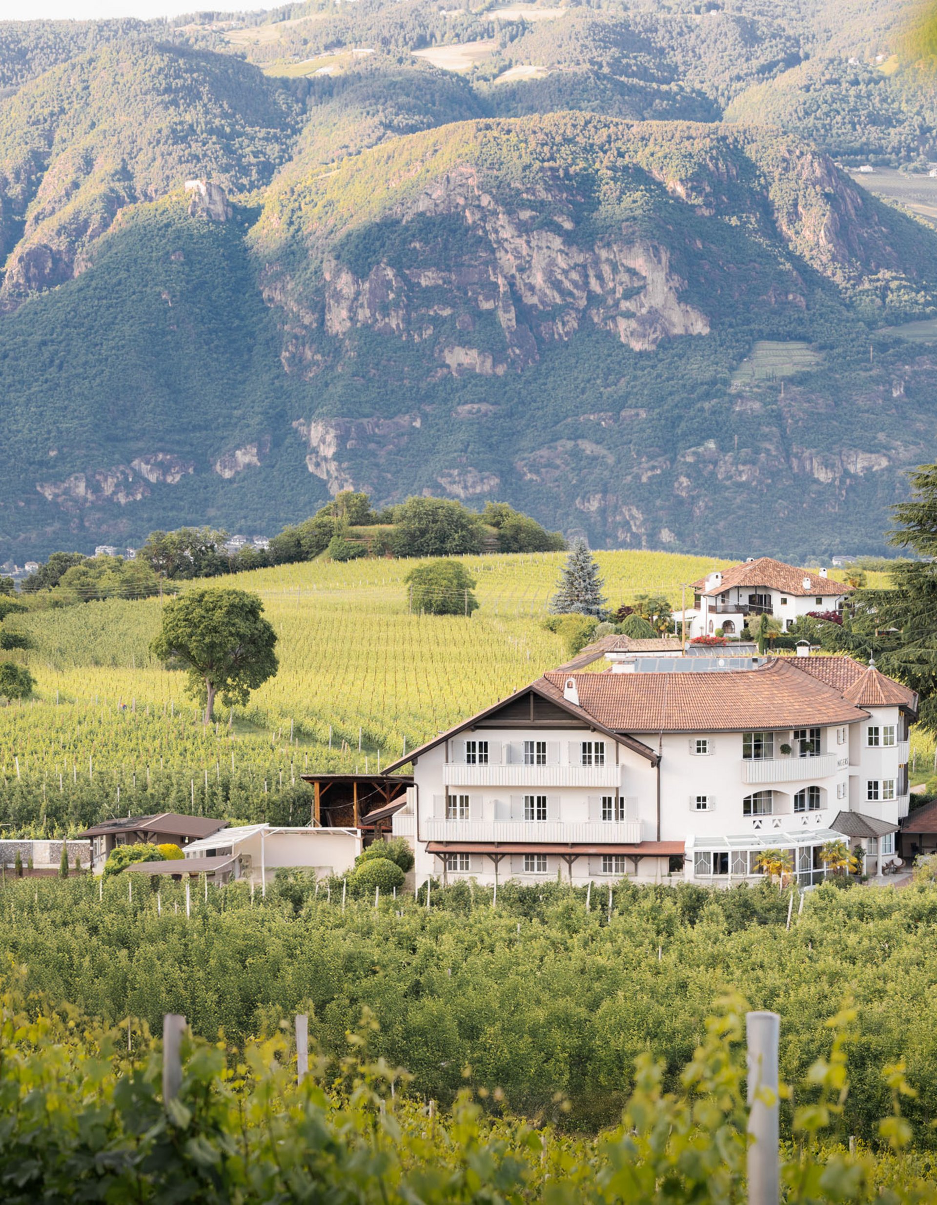 Weingut in grüner Hügellandschaft vor bewaldeten Bergen